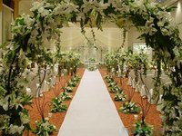 展会策划-作安装会展策划师三级证书\/三高级四