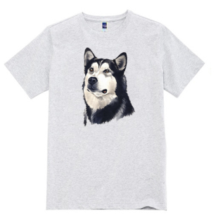 出售各种宠物图案T恤 犬迷服饰7