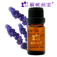 解忧公主 薰衣草精油10ml 单方正品 去痘印去疤睡眠 新疆熏衣草