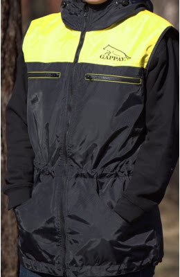 gappay dog training vest