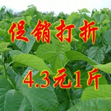 taobao english 16917192274
