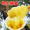 纯天然蜂蜜 云南香格里拉圣山藏蜜 农家自产与新西兰进口蜂蜜PK
