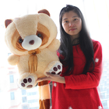 小浣熊 生日礼物 毛绒玩具熊 小熊公仔布娃娃 大熊狗熊毛毛熊