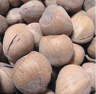  年新货 特价坚果 优质开口榛子，颗颗香脆 2斤包邮