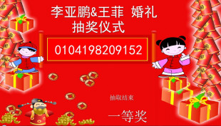 个性婚礼策划/3套婚礼抽奖程序