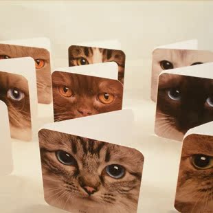  个性万能贺卡 猫咪卡 感谢卡 新年圣诞贺卡 节日小贺卡 特价