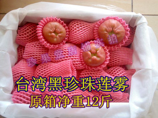  【珍果堂】正宗新鲜进口水果台湾黑珍珠莲雾原箱12斤，包邮