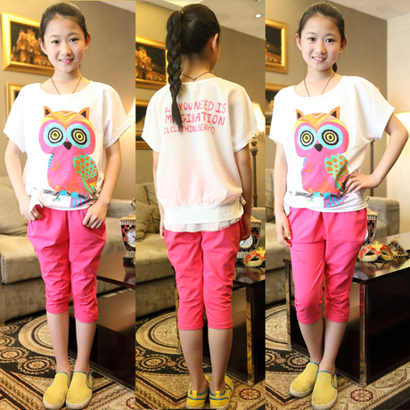女大童纯棉套装 2014新款夏装<em>10岁</em>女孩12<em>少女</em>
