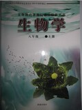 taobao english 7818234751