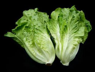  新鲜生菜 深圳 蔬菜 水果 同城 送菜 到家 货到付款 服务珠三角
