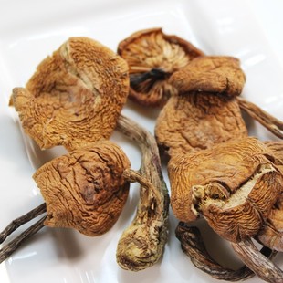  头茬榛蘑 东北特产 干货大个儿 野生榛蘑 小鸡炖蘑菇 2件包邮250g