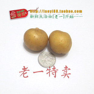  老一特卖 迷你 新鲜 小土豆 绿色蔬菜无公害营养特佳3.8元500克