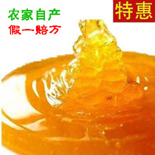 纯天然野生土蜂蜜500g 美容滋补 蒙山蜂人牌