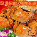 阳澄湖大闸蟹|公螃蟹4.0两 公蟹+紫苏/姜茶/蟹具