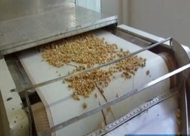 microwave Dry Conveyor belt Tunnel Drying box High temperature resistance Teflon Tape thickness 0.7mmin the Hardware/Tool , Mechanical Hardware , Transmission Parts , Transmission belt category - from Buy2taobao.com to provide professional Taobao agent buy service