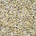 正品散称加拿大壹之选1st Choice2-12个月成长期幼猫鸡肉猫粮500g