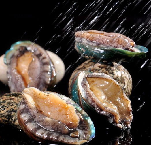 Dalian Fresh Abalone Fresh Seafood Shellfish fresh Sea cargo Beijing Throughin the Aquatic meat/Fresh fruits and vegetables/Cooked , Seafood/Aquatic/Product , Shellfish , Abalone category - from Buy2taobao.com to provide professional Taobao agent buy service