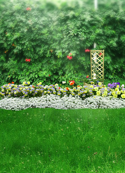 children Photography Background Cloth Location Flowers green theme One hundred days Studio baby Photo Background Paper 1044in the 3C Digital Accessories, SLR/Single-camera accessories , Studio Equipment , Background cloth category - from Buy2taobao.com to provide professional Taobao agent buy service