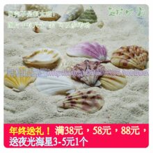 天然海螺贝壳 厚扇贝(1个0.5元）哟！水族箱 地台装饰 HB2