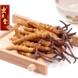  【虫草堂】正品 西藏产地批发 极品那曲冬虫夏草特级礼盒4根/克