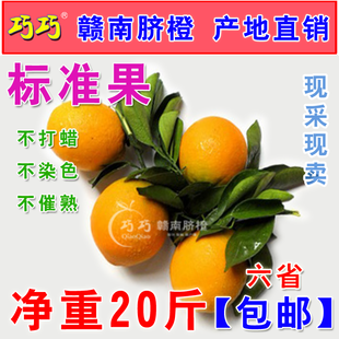  20斤净重特价6省包邮 正宗赣南脐橙 江西脐橙子水果多巧巧手坊2