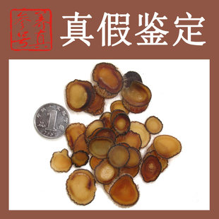  【8折】非半腊片红粉片--特级东北梅花鹿鹿茸片 唯一正宗蜡片