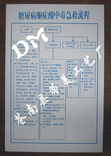 厂家直销急诊挂图\/糖尿病酮症酸中毒急救流程