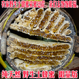 深山农家自养百花蜂蜜纯天然土蜂蜜纯天然黑背蜂冲冠包邮