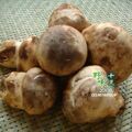 皇冠特价 云南哀牢山深山野生菌（新鲜老人头干片）100克
