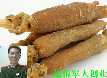 长白山人参 东北特产红参 货真价实假一赔十 中老年人都可以用在类目 传统滋补营养品, 参类滋补品, 人参/园参中 - 来自Buy2taobao.com提供专业的淘宝代购服务