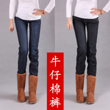 2011冬新款女加绒加厚棉裤超显瘦韩版大码牛仔裤小直筒裤靴裤6002