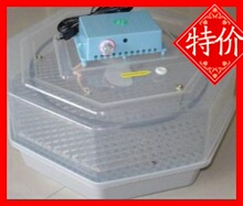 微型孵化器 微型孵化箱 超小型孵化机 超小型孵化设备