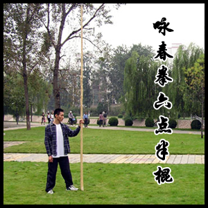 标准型咏春拳六点半棍\/正宗白蜡杆武术棍 韧性