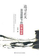 正版/ 追寻正义法治视野下的刑事错案 王佳/满99包邮