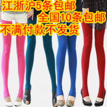 10������Ʒ���������ձ���Ʒ120D����޺�ɫ��ɫ�Ƚſ����׿�