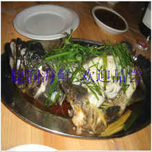 石斑鱼 鲜嫩无刺 聪润海鲜 水产 鲜活 三亚美食订餐成品菜提货券