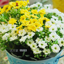 优贝家 盛世米兰-六色入 仿真花假花装饰花艺绢花人造花