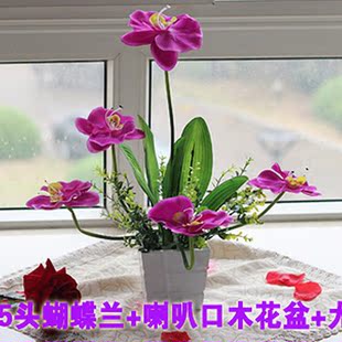  家居喜庆装饰花假花 绢 干 花 多头蝴蝶兰花木盆仿真花套装  批发