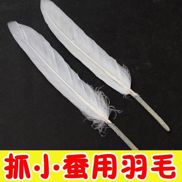 蚕宝宝小蚕蚁蚕抓小蚕用羽毛学生养蚕用鹅毛爬虫用清理不伤害小蚕在类目 宠物/宠物食品及用品, 爬虫/鸣虫及其用品, 爬虫/鸣虫用具中 - 来自Buy2taobao.com提供专业的淘宝代购服务