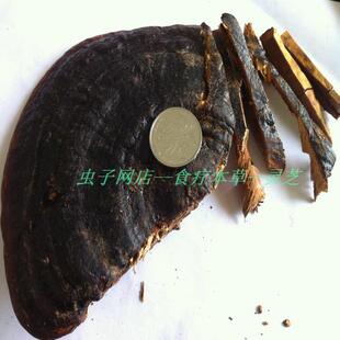 野生灵芝海南无柄灵芝无柄赤芝灵芝片正品中大250克肿瘤提高免疫