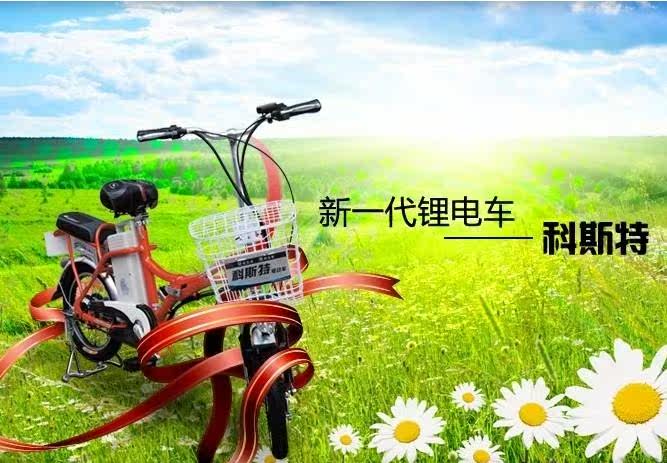 科斯特锂电电动车36V,轻,小,电池命长。可折叠,旋风36V