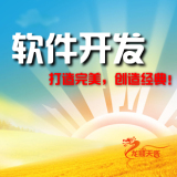 软件开发 应用程序开发 软件定做 及企业管理软件开发