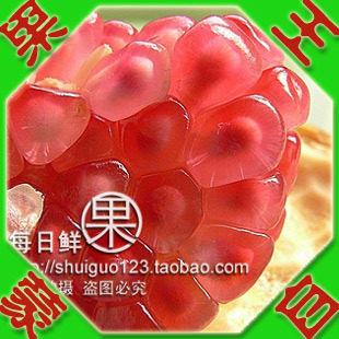 预订9月份上市  云南蒙自石榴 个大多汁 大果果王