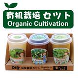 新款3盒装有机植物栽培盆栽 迷你盆景（香草类，花卉类，果实类）
