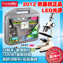 六一礼物 晶锐 学生儿童显微镜 LED金属变焦1200倍 工具箱买1送10