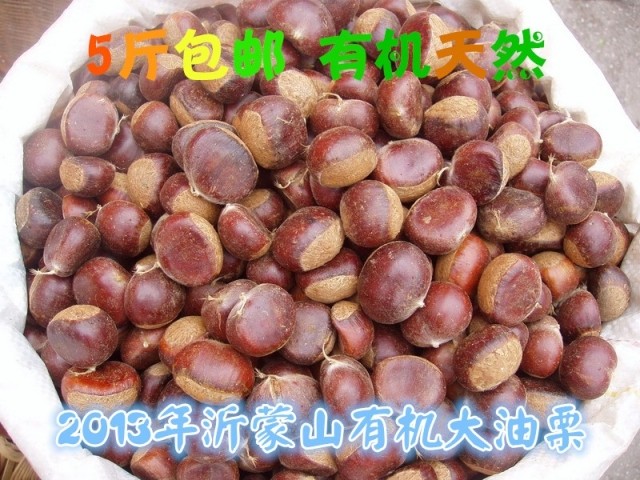 2014零食新鲜板栗特产生食品沂蒙山有机天然大油栗沭河古栗特价