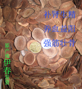  东北 伊春 特产 精选梅花鹿茸片1克 生精壮阳 安胎 妇科