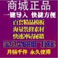 店铺装修模板全套 旺铺标准版扶植版网店模版 教你淘宝实战推广