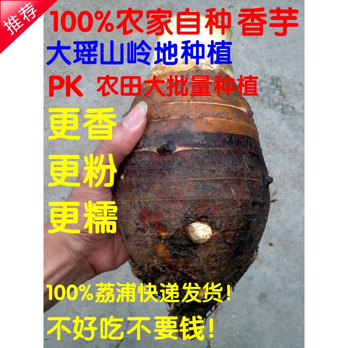 包邮 芋头 新鲜 荔浦芋头 正宗 广西芋头 大芋头 香芋头 8斤装在类目 水产肉类/新鲜蔬果/熟食, 新鲜蔬菜/蔬菜制品, 新鲜蔬菜, 其它中 - 来自Buy2taobao.com提供专业的淘宝代购服务