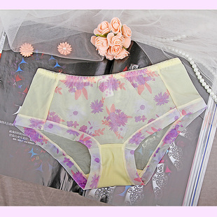 【图】正品彩婷<em>女士</em>印花<em>内裤</em> 时尚网纱<em>面料</em>三